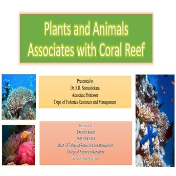 Plants and animals associates of living reef corals