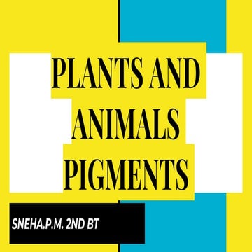 PLANTS AND ANIMALS PIGMENTS