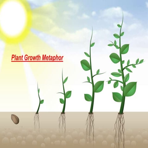 Plants And Trees Pptx