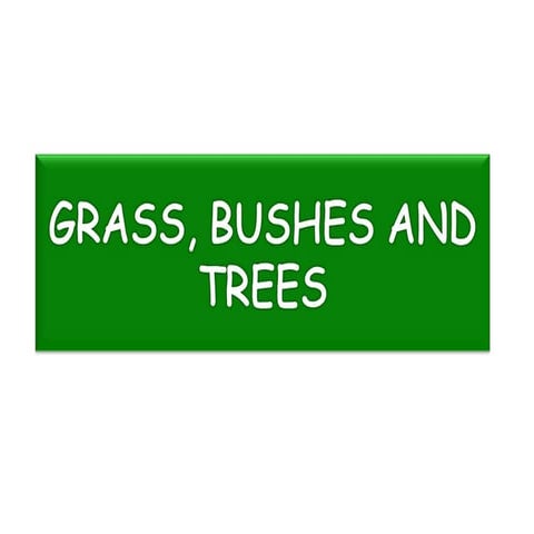 Grass, bushes and trees | PPT