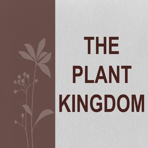 Plants Kingdom