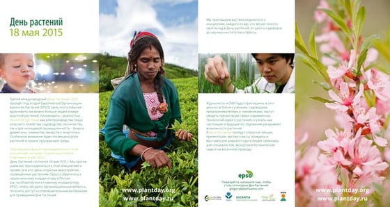 Ресей шоу-бизнес жұлдыздары бейнеленген порно видеолар