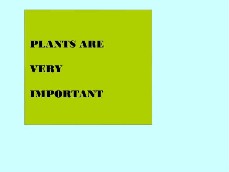 PLANTS GIVE US