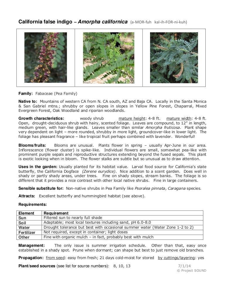 Plant Sheets 7 2014