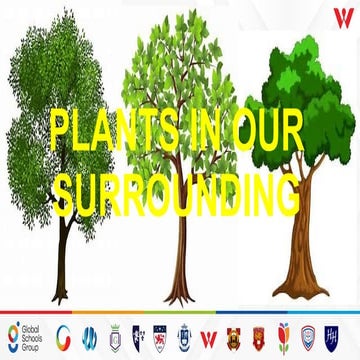 Grade 3 ICSE PLANTS IN OUR SURROUNDING (1).pptx