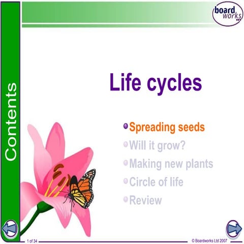 Plants life cycles