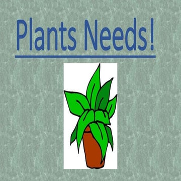What do plants need to survive?