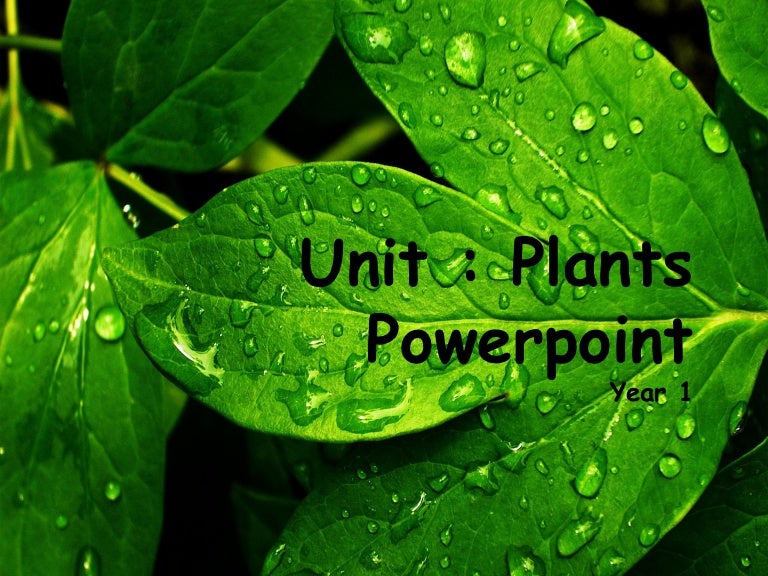 uses of plants powerpoint presentation