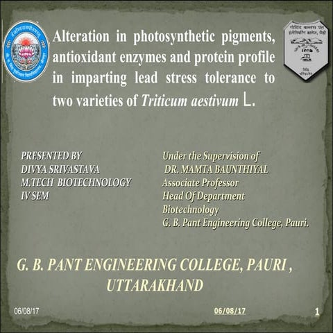 Alteration in photosynthetic pigments, antioxidant enzymes and protein profile in imparting lead stress tolerance to two varieties of Triticum aestivum L.
