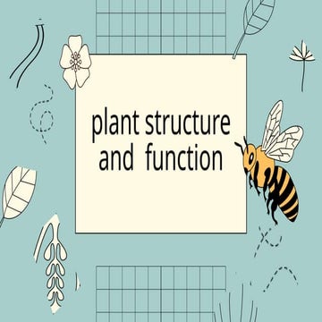 plants structure and function presentati | PPTX