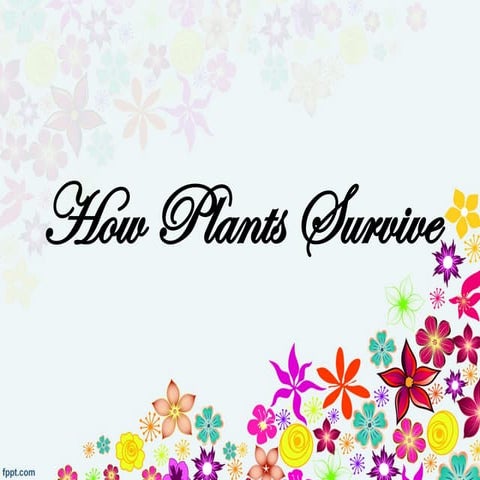 Earth and Life Science-  How Plants Survive