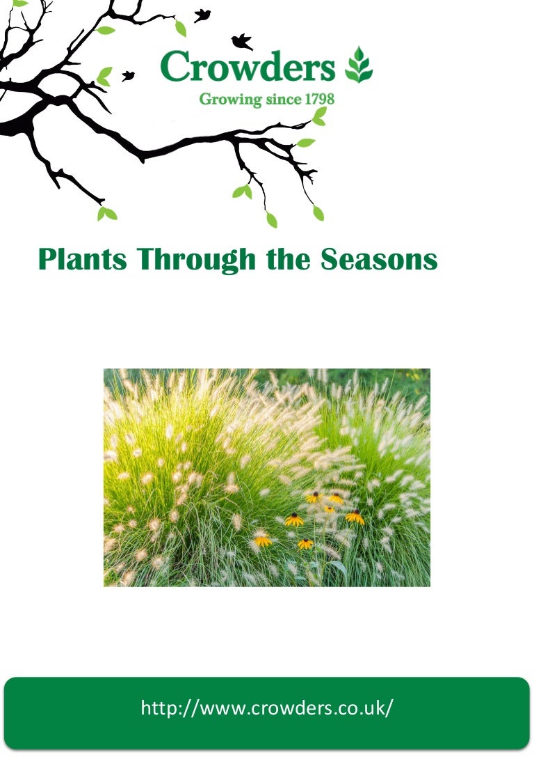 Plants through the Seasons