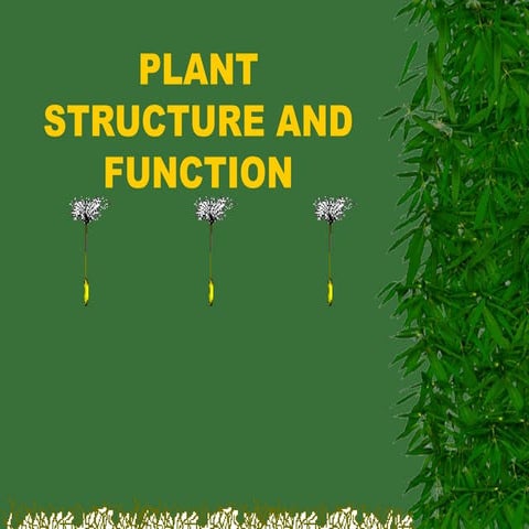 Q1W4L1-PowerpointInternalExternalStructureofPlants.ppt
