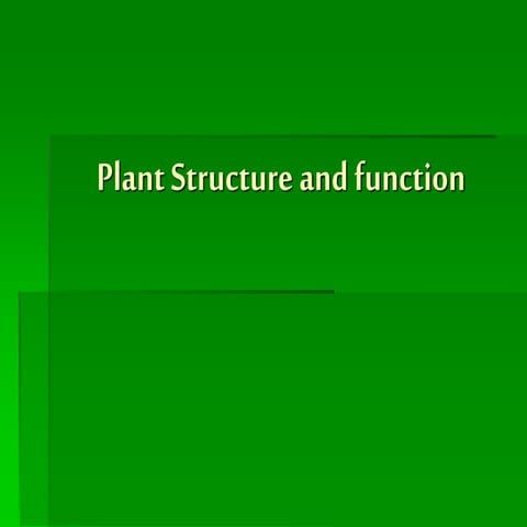 Plant structure and function powerpoint