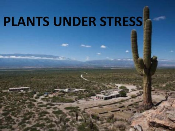 Plant stress definition and classification | PPTX