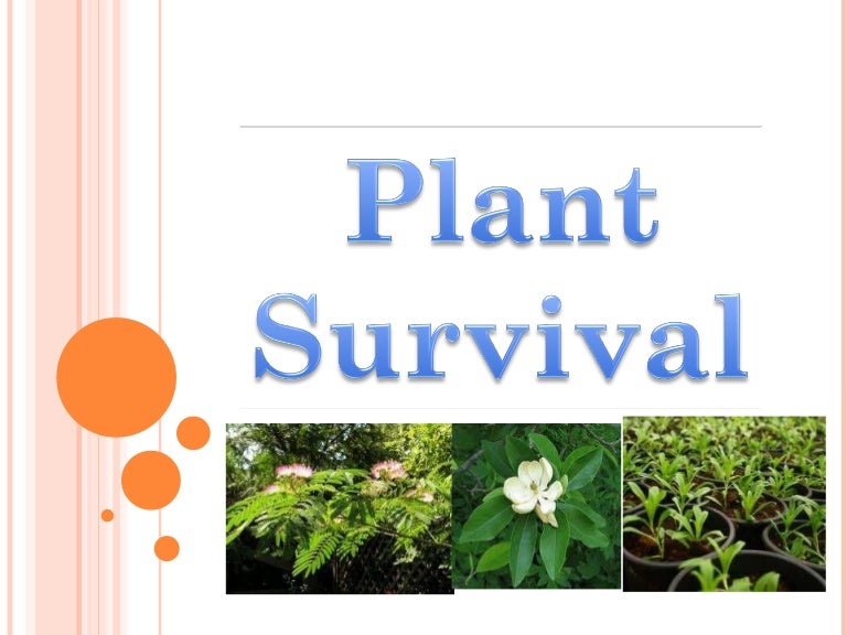 Plant Survival Plant Survival