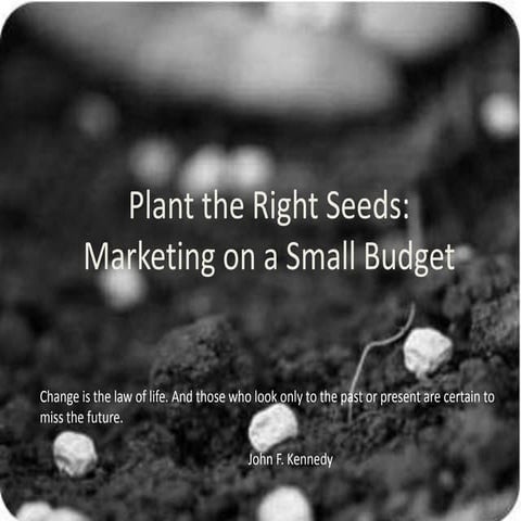 Plant The Right Seeds