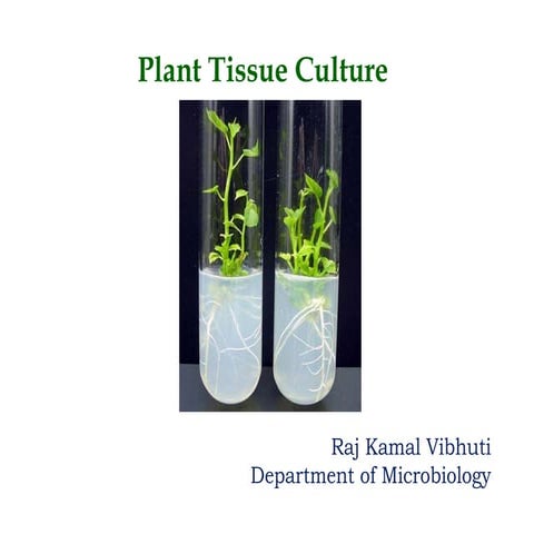Plant tissue Culture