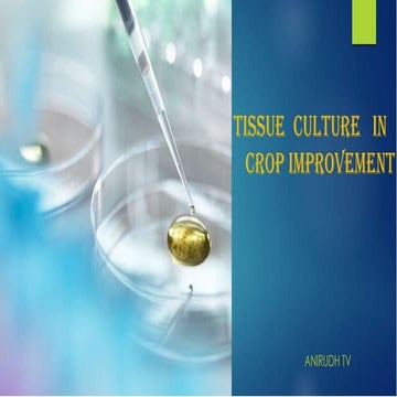 Plant tissue culture in crop Improvement