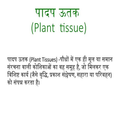 Comprehensive Overview of Asexual Reproduction in Plants: Types and ...