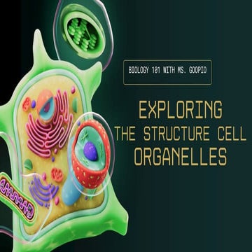 PLANT TISSUE  GENERAL BIOLOGY 1- MIDTERM.pdf
