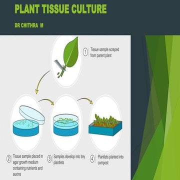 PLANT TISSUE CULTURE: Plant tissue culture is a powerful technique that invol...