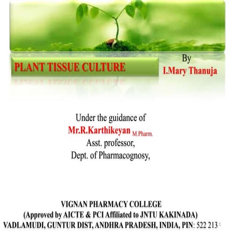  plant tissue culture by thanuja