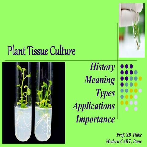 Plant Tissue Culture