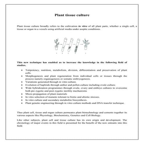 Plant tissue culture