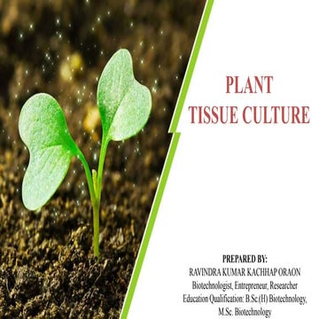 To study plant tissue culture laboratory design and set up | PPTX