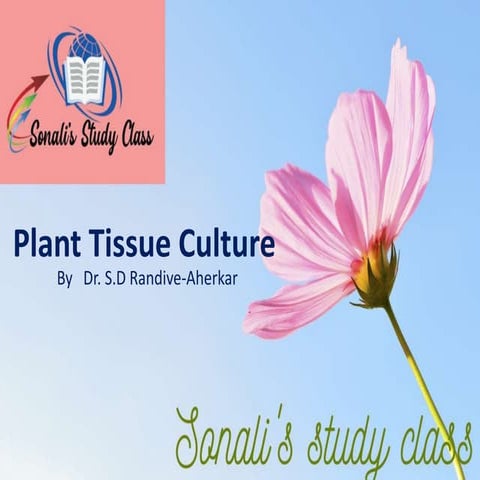 plant tissue culture.pptx