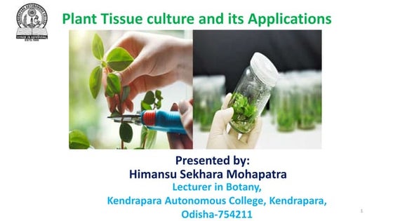 Plant Tissue culture., Plasticity, Totipotency, pptx