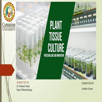 plant tissue culture and types and principles