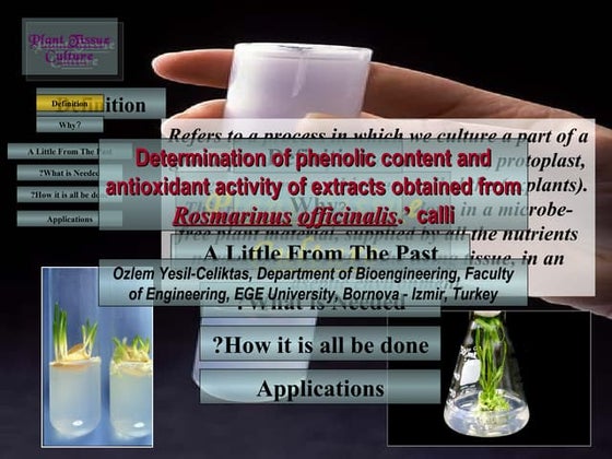 Plant Tissue Culture Technique and its applications | PPTX