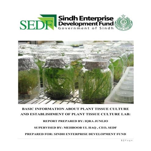Plant tissue culture lab,sedf