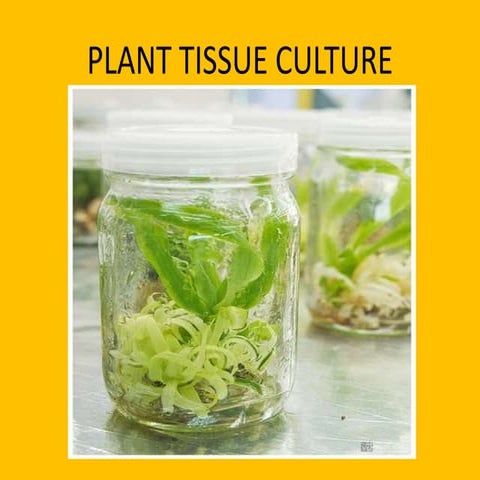 Plant tissue cultur eppt