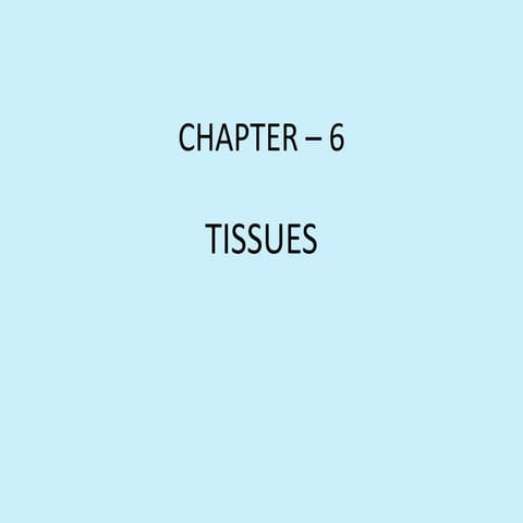 Plant tissues, 9 cbse
