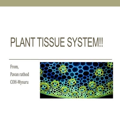 Plant tissue system -Basis for plant anatomy