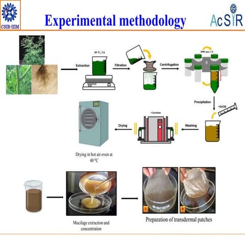 plant to bioadhesive : a miracle thing.pptx