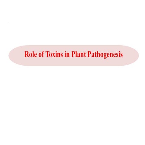 Role of Plant toxin