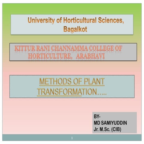 Plant transformation methods