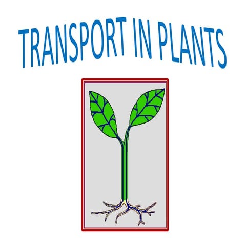 Plant transport