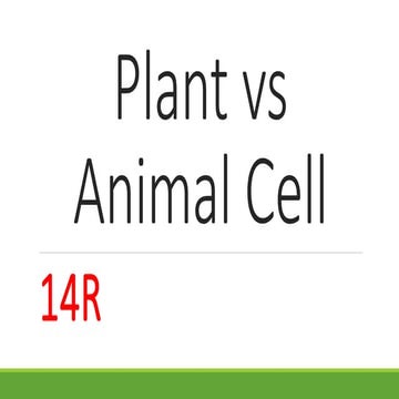 Plant vs animal cell 7th