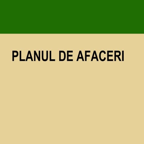 Planul de afaceri