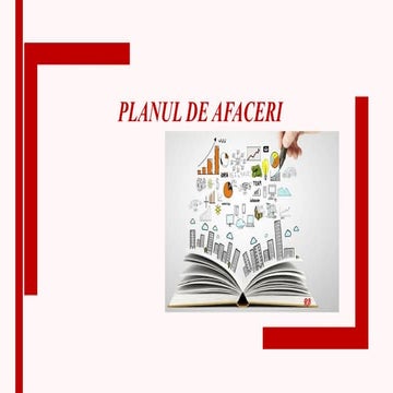 Planul de afaceri