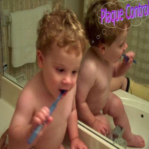 Plaque control and disclosing agents ppt