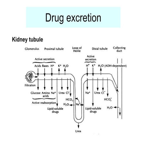 PolyPhen-2.pptx......................... | PPTX