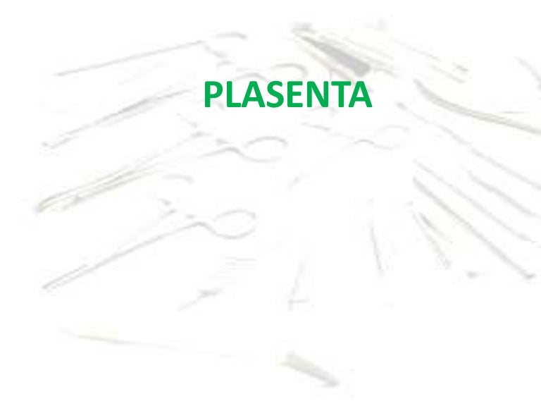 Plasenta