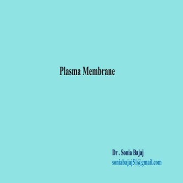 Plasma membrane