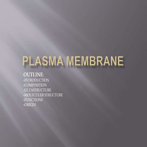 Plasma membrane 